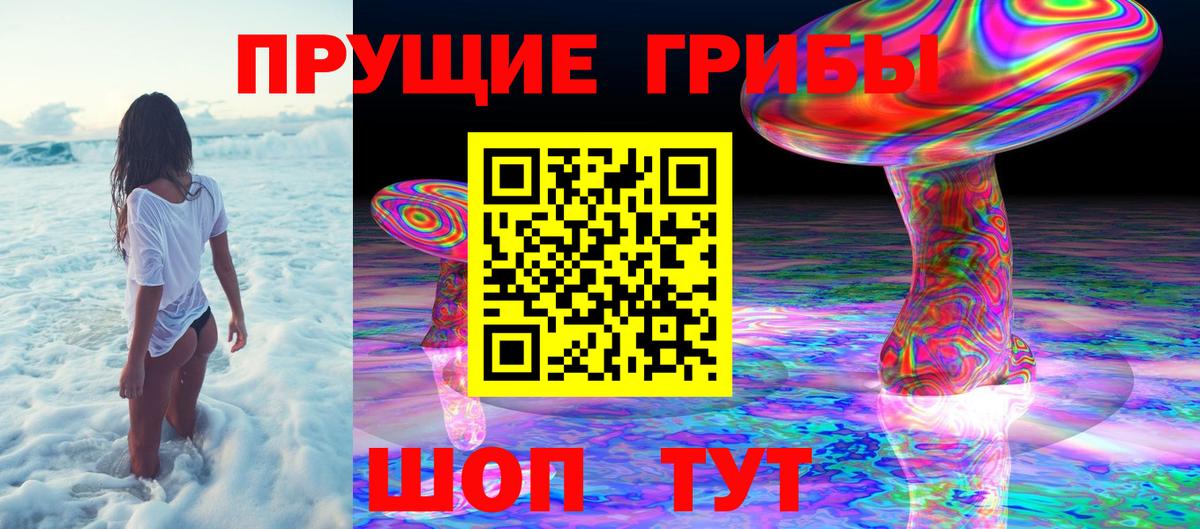 Галлюциногенные грибы Magic Shrooms  Вход с VPN  Псилоцибиновые грибы GOLDEN TEACHER  Скопин 